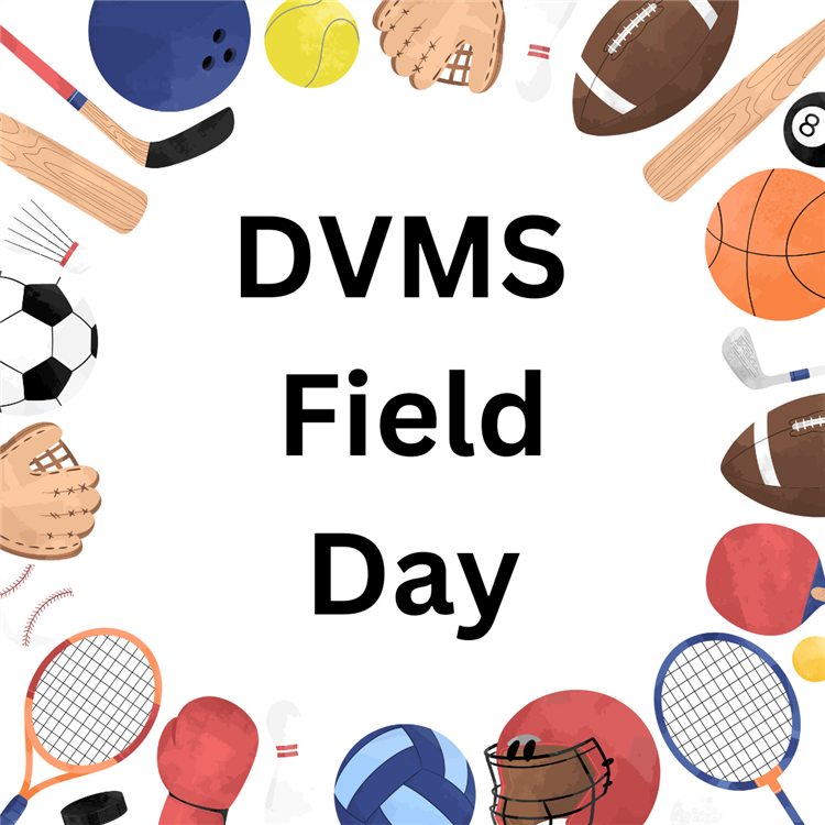  DVMS Field Day 